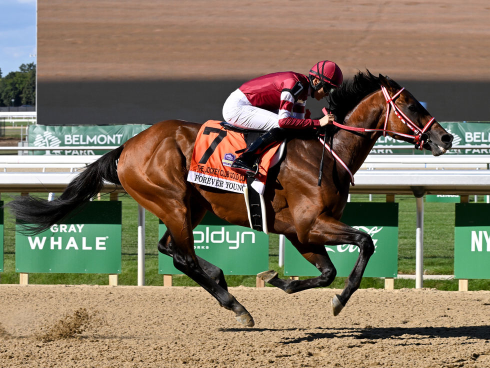 Forever Young también manda en las apuestas para el Breeders’ Cup Classic