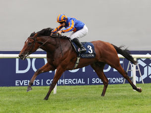Constitution River encabeza el tridente de Ballydoyle para el Prix du Jockey Club