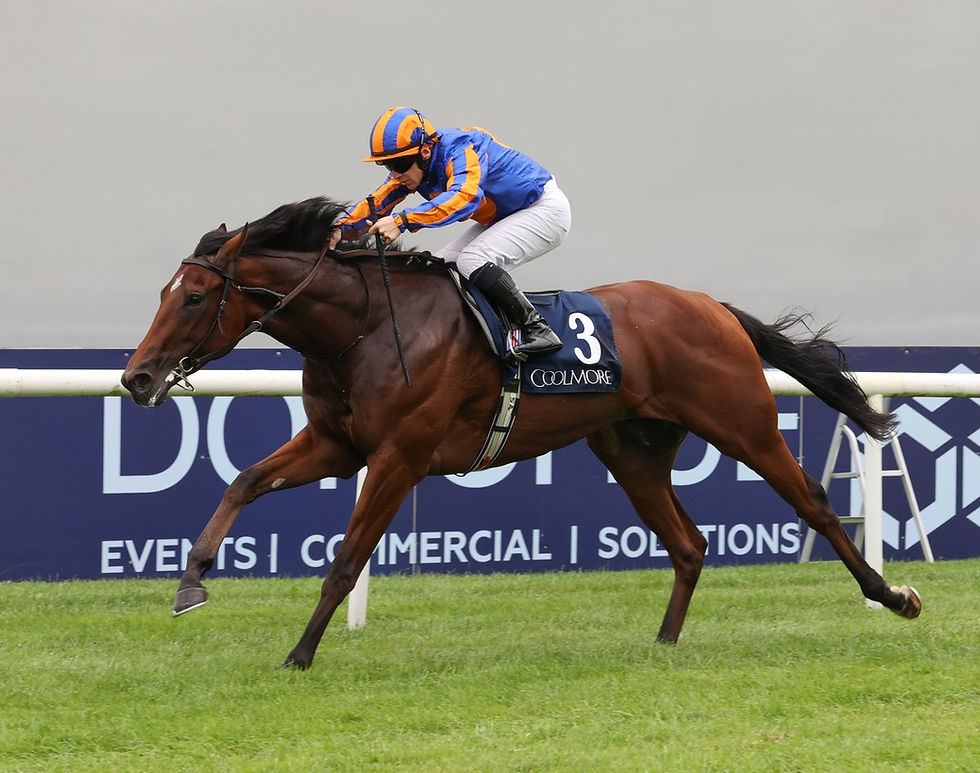 Constitution River encabeza el tridente de Ballydoyle para el Prix du Jockey Club