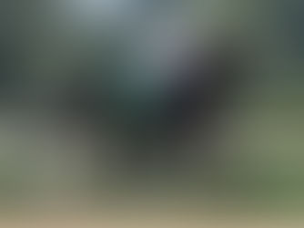 It’s Our Time va por el salto mayor en el Champagne Stakes de Belmont At the Big A