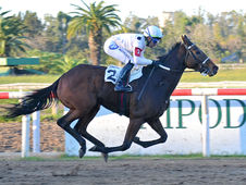 La Plata Confirms Two Upcoming Meetings and Announces a Continued Pause on Alternative Racing Formats Next Week