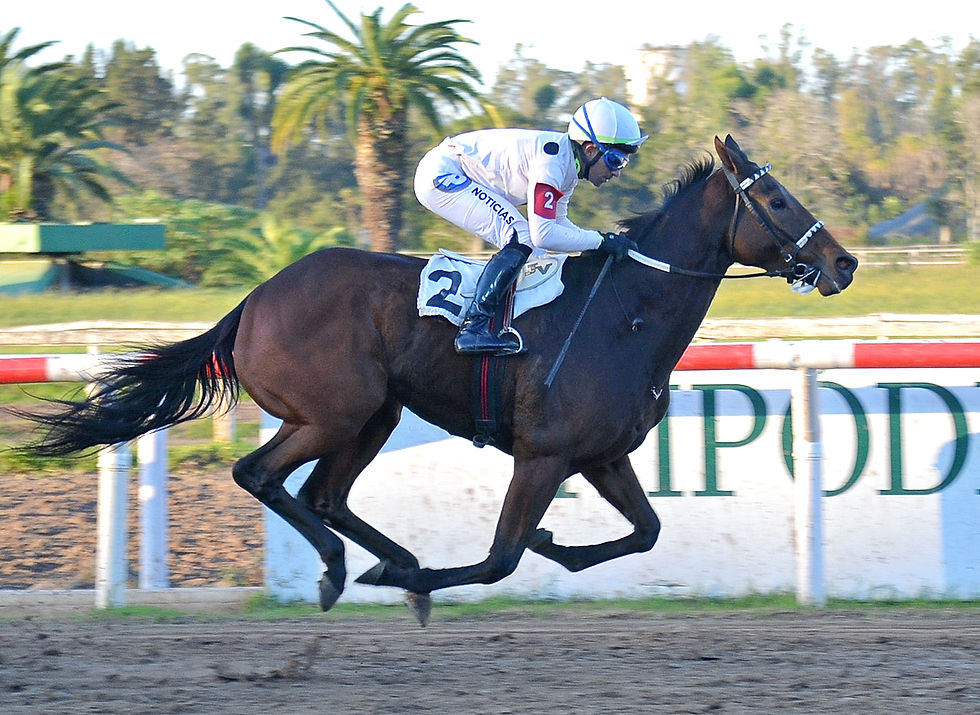 End of Spring, sister to Charm, captured the Clásico Miss Loren