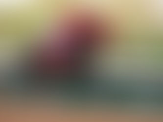 Ancestral Land reaparece en la King Khaled University Cup