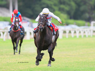 Tácticas diferentes, pero mismo resultado para en los handicaps para Joy Traviesa y Frape