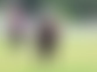 Tácticas diferentes, pero mismo resultado para en los handicaps para Joy Traviesa y Frape