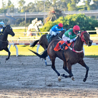 Boyero Spring se aferró a los kilos bajos y pasó de largo en el Handicap Good Time