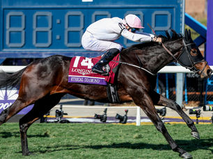 Willie Mullins va por una doble imposible con Ethical Diamond