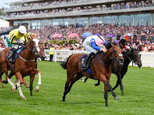Limestone Confirmed He Is the Real Deal and Gave Joseph O'Brien Another Great Celebration