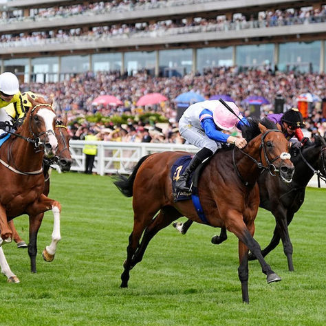 Limestone Confirmed He Is the Real Deal and Gave Joseph O'Brien Another Great Celebration