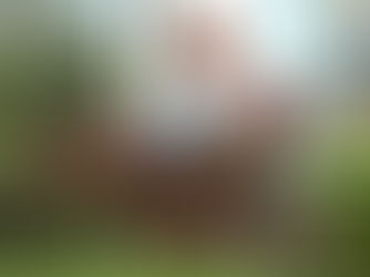 Magic Power volvió a mostrarse en su esplendor, ganó el Meiggs y va al Latino