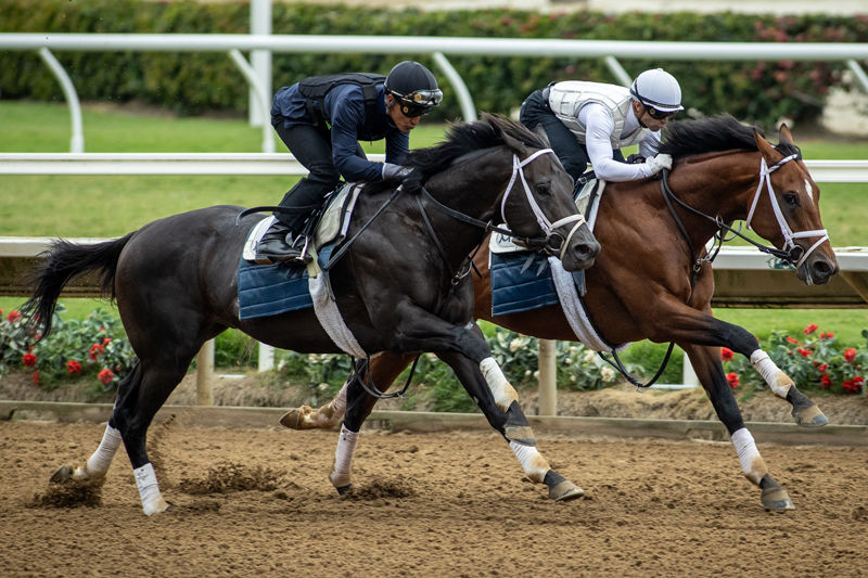 Journalism (inside) Turned In a Convincing Move / BENOIT PHOTO