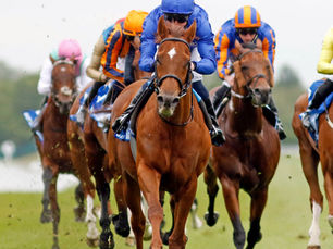 La velocidad de Notable Speech, impactante en el Lockinge Stakes