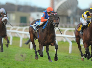Jazz Seiver vuelve al ruedo en el Clásico Botafogo, en el sábado de San Isidro