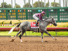 Sweet Azteca Returned as If She Had Never Left to Secure a Historic Third Triumph in the Great Lady M