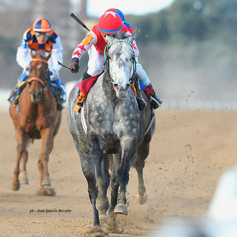 Vieja Amiga Mask Returned to Victory in the Handicap Fitzcarraldo