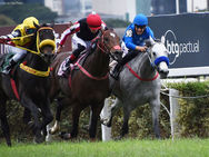 Quero Te Mucho le da otra victoria al Haras Phillipson en el Sao Paulo
