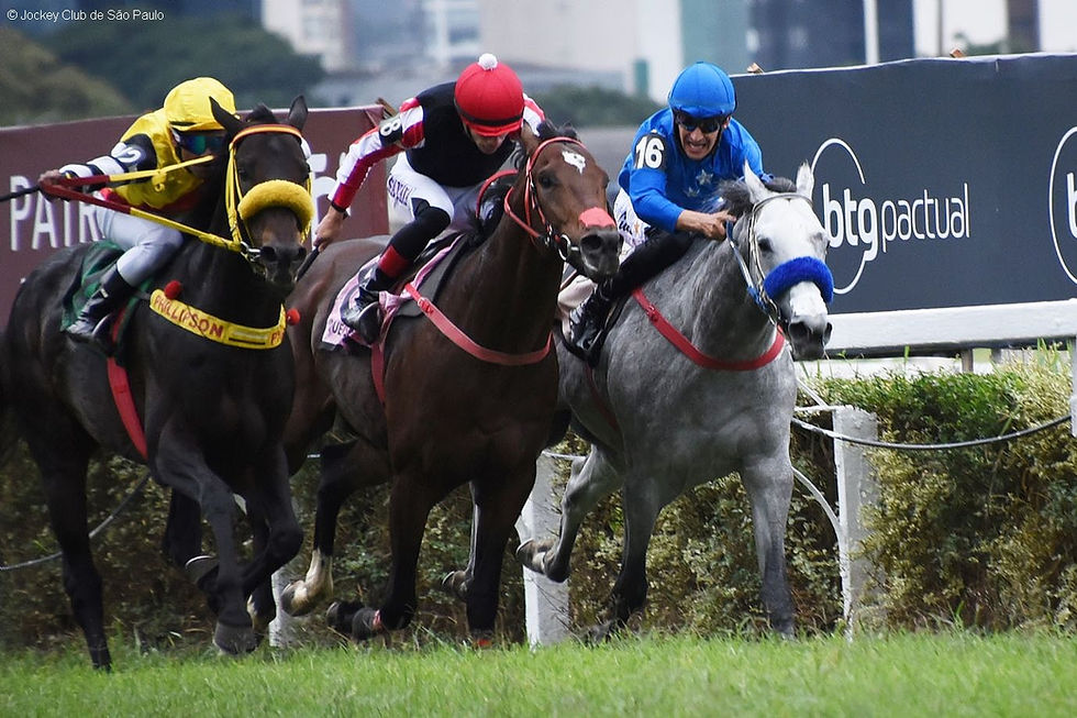 Quero Te Mucho le da otra victoria al Haras Phillipson en el Sao Paulo