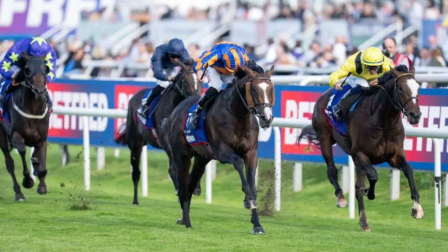 Scandinavia, enorme en el St Leger y noveno triunfo para O’Brien