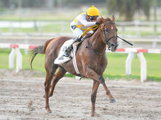Imparable, Emergent redondeó su mejor victoria en el Handicap Ultrasonido