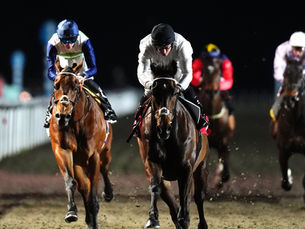 En su nueva vida, Constitution Hill parece no tener límites; al menos, por ahora...