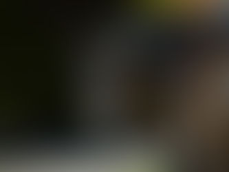 Lady se quedó con el precio máximo en el remate del Haras Carampangue