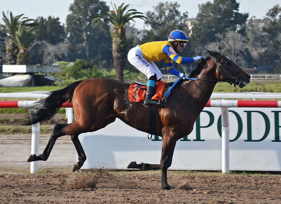 Peralta y la caricia como premio para Sonreime en el final del handicap / HLP