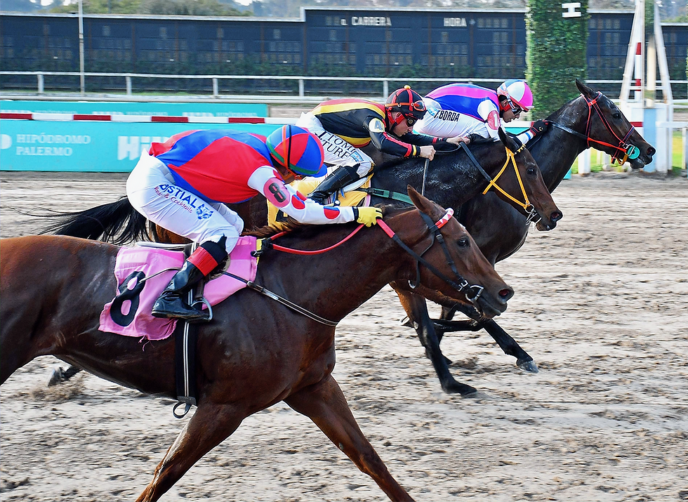 Free Prize managed to defeat Lissette Island and La Bella Otero in the Clásico República de Panamá