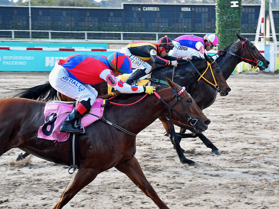 Free Prize pudo con Lissette Island y La Bella Otero en el Clásico República de Panamá