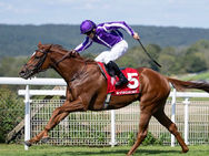 La potranca Precise, entre algodones pero firme rumbo a Newmarket