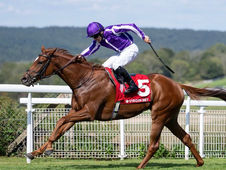 Precise buscará en el Falmouth sumar otro Grupo 1 para el imparable Aidan O'Brien