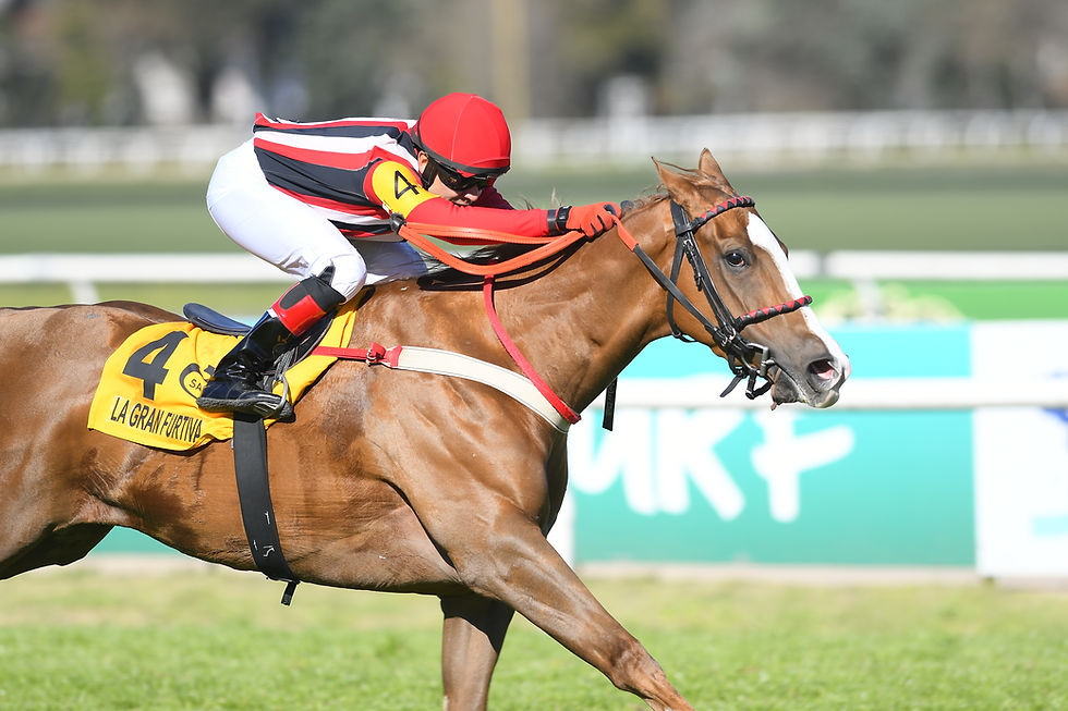 La Gran Furtiva was unstoppable in the Clásico Condesa / JUAN I. BOZZELLO