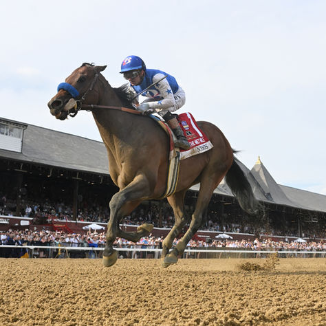 Nysos Has a Destiny: Coolmore Announced His Purchase and Will Retire Him to Stud After the Breeders' Cup
