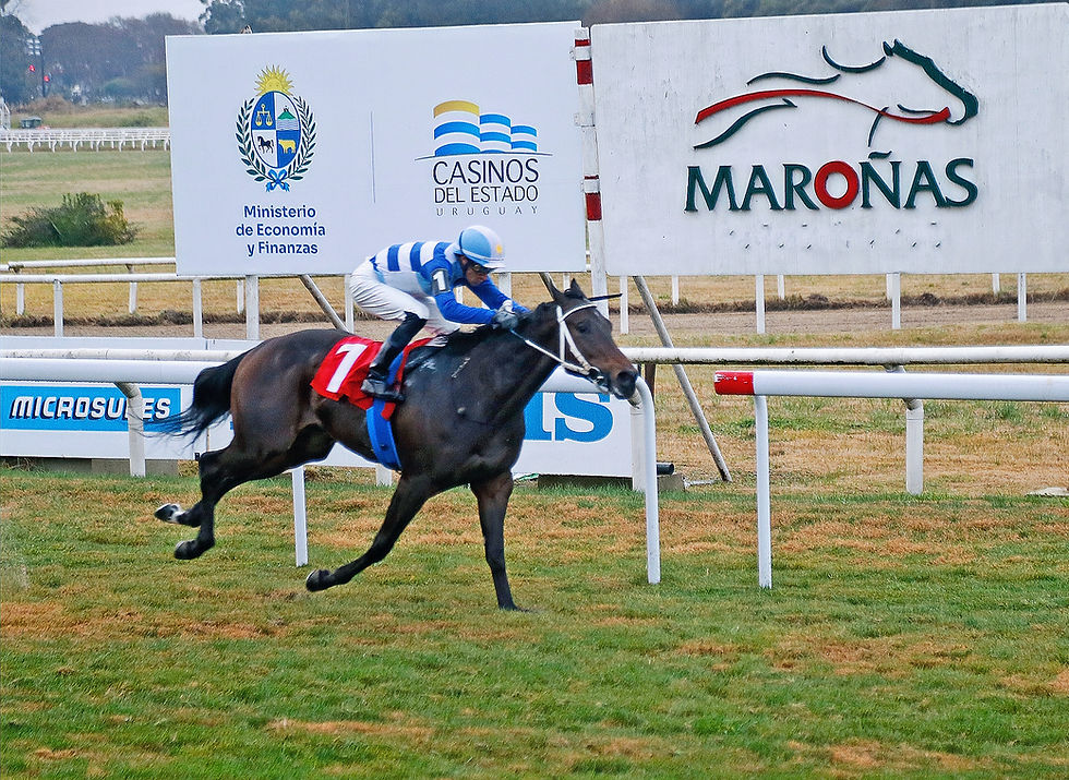 El argentino Montjuic ganó en Maroñas con el Clásico Francisco Etcheverry Vidal