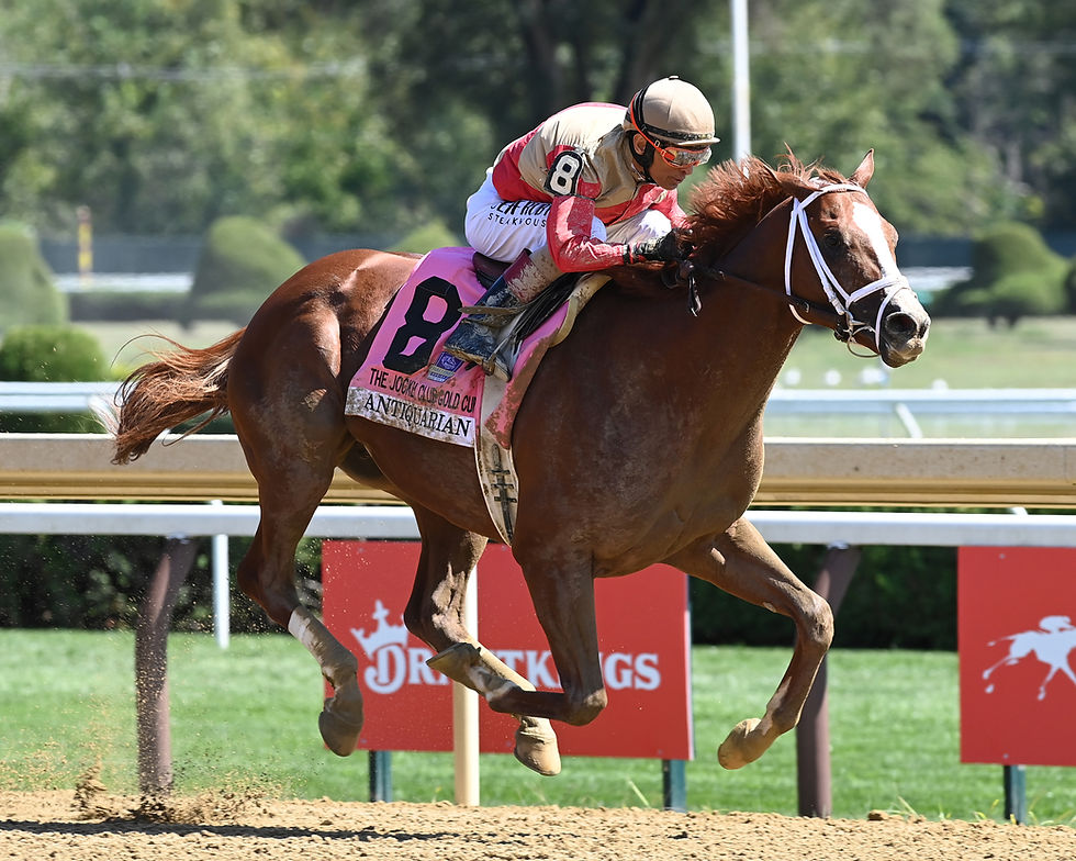 Antiquarian did his part, but also took advantage of the early trouble / ADAM COGLIANESE / NYRA