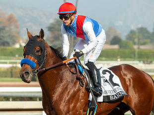 Barnes, del brillo en las pistas al desafío como padrillo en Hill ’n’ Dale