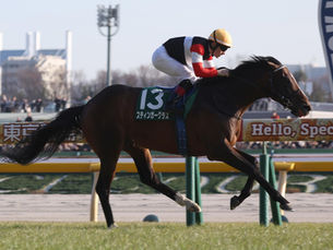 Stinger Glass y el legado de Life for Sale: sangre argentina que conquista Japón