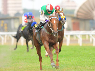 Un viernes espectacular en San Isidro, como para ir entrando en calor...