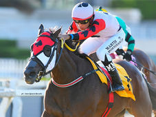 Portal Maya lands her biggest win yet for a partnership off to a flying start