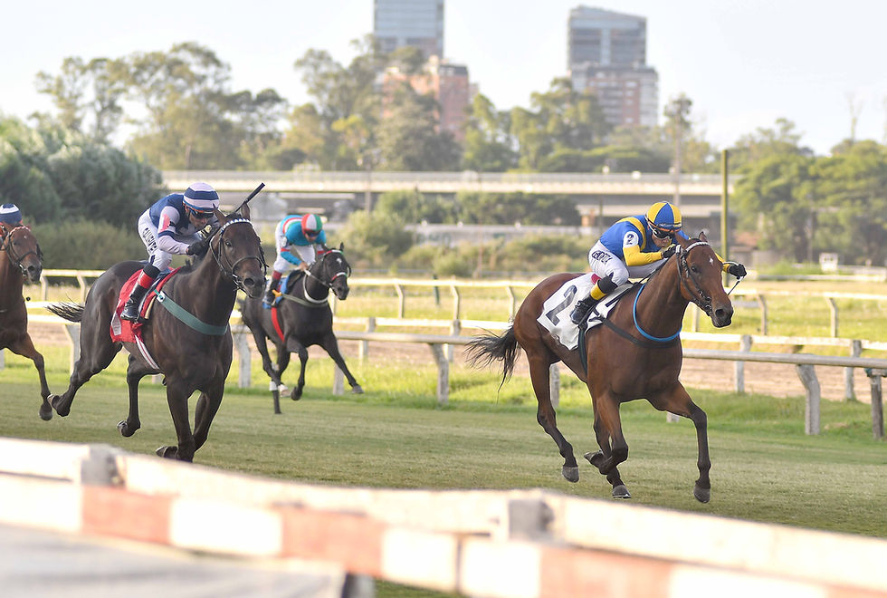 The rematch between Garboso Frank and Beauty Sea is the main attraction at the Río de la Plata