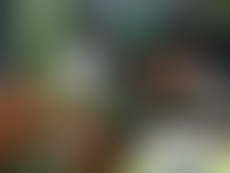 Emely lideró desde el salto para redondear la mejor victoria de su campaña