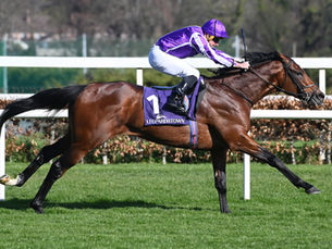 Delacroix lidera un Irish Champion Stakes de alto vuelo rumbo a la Breeders’ Cup