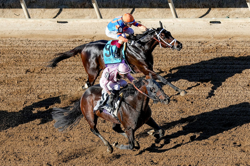 Sierra Leone and Fierceness, in Last Year's Breeders’ Cup Classic / BREEDERS' CUP