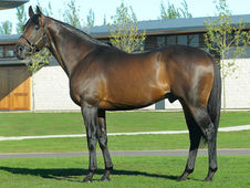 Manipulator, a notable sire and father of seven G1 winners, has died at the age of 25