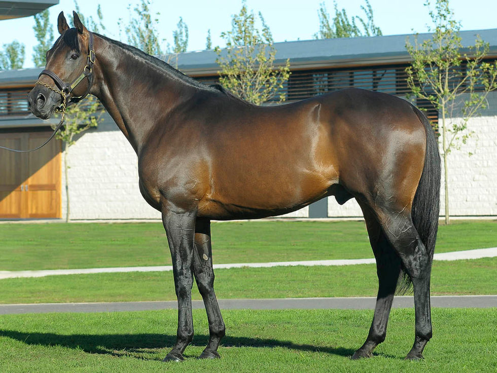 A los 25 años murió el notable Manipulator, padre de 7 ganadores de G1