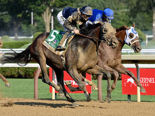 Chad Brown: "Sierra Leone es el mejor caballo que preparé"