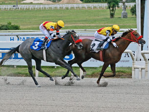 Sapacara batió a Tantan Royal, para el dominio absoluto de Phillipson en el Clásico EEUU