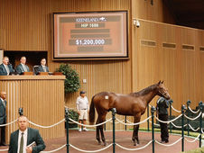 Nyquist colt fetches $1,200,000 during the sixth session at Keeneland September