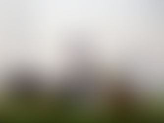 Khaadem, a los 10 años, desafía la historia en Meydan