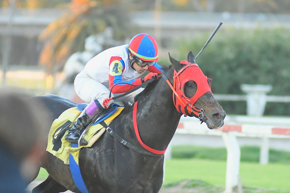 Peso Argentino swept past in the final furlong / JUAN I. BOZZELLO