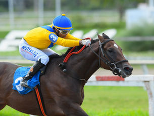 Meydan levanta el telón de la temporada 2026 con acento sudamericano